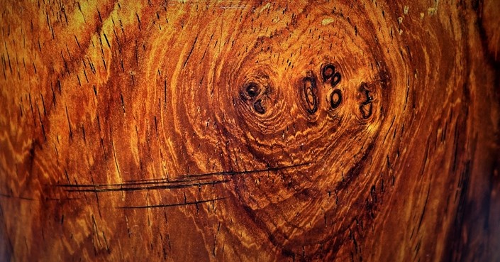 Long - Huanghuali Brush Pot - 17th Century